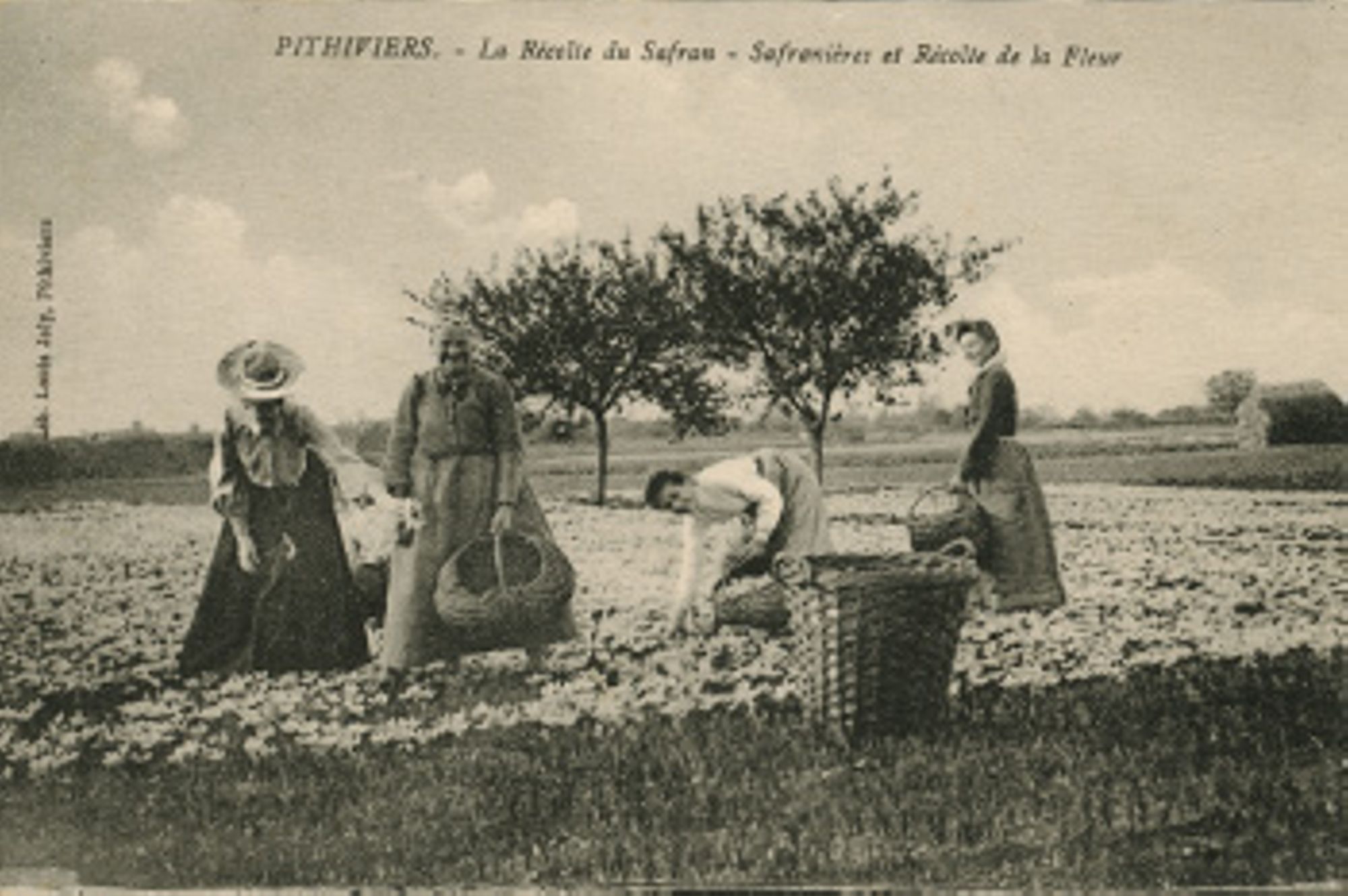 (Arch. dép. du Loiret 11 Fi 9398)