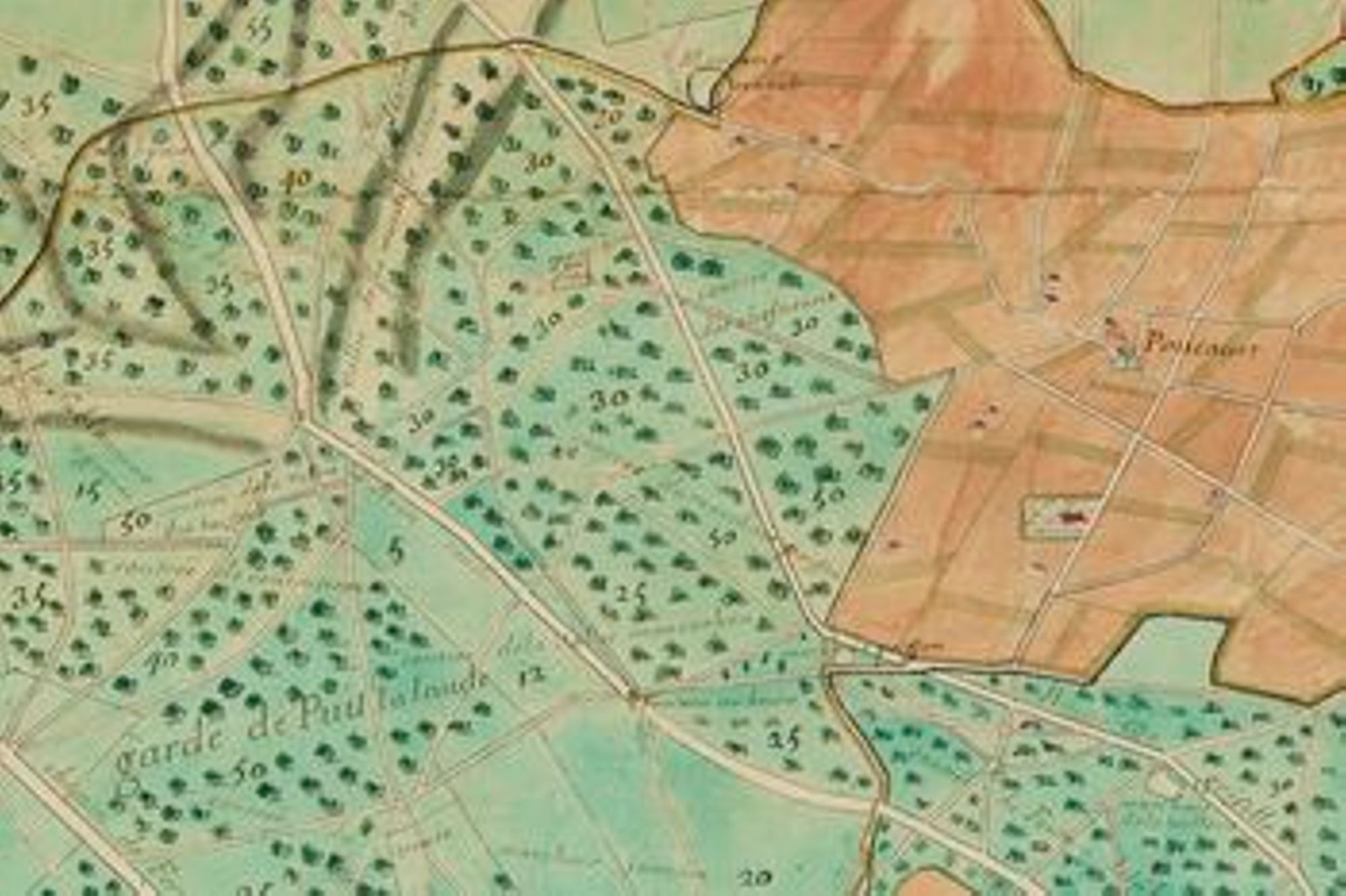 Extrait du plan de la forêt de Montargis par Jean Filz, arpenteur, 1716