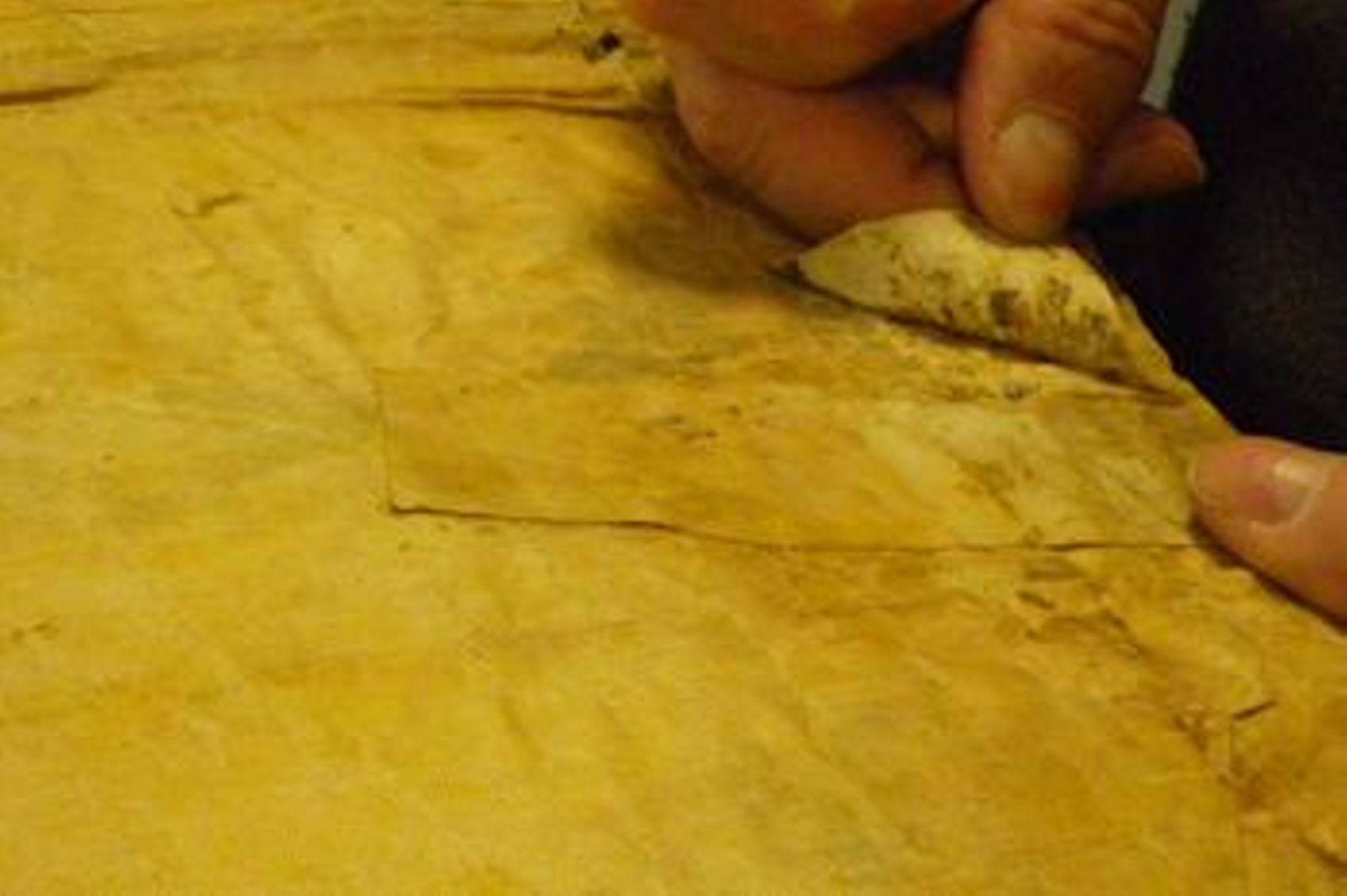 Un document en cours d'examen par le restaurateur.