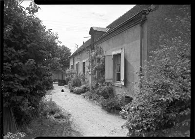 Maison de Serge Pinault, représentant en vin (Orléans, vers 1950)